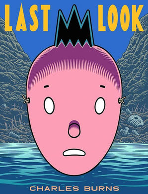 CHARLES BURNS LAST LOOK GN