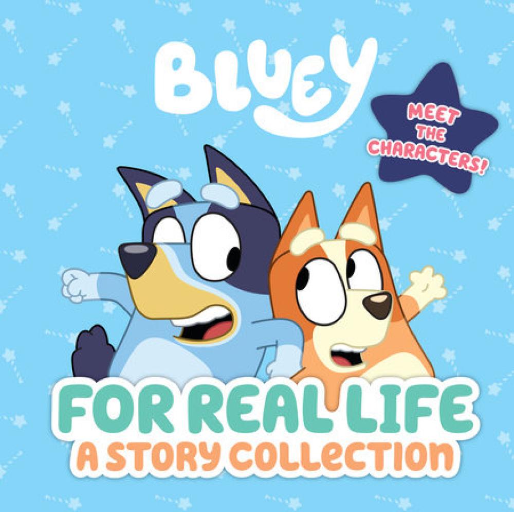 BLUEY FOR REAL LIFE STORY COLLECTION