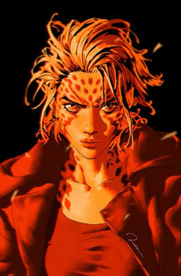 CHEETAH AND CHESHIRE ROB THE JUSTICE LEAGUE #1 CVR B JEEHYUNG LEE CARD STOCK VAR OF 6