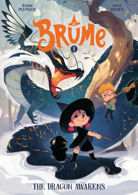 BRUME VOL 01 DRAGON AWAKENS GN