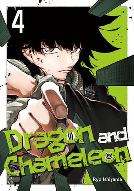 DRAGON AND CHAMELEON GN VOL 04