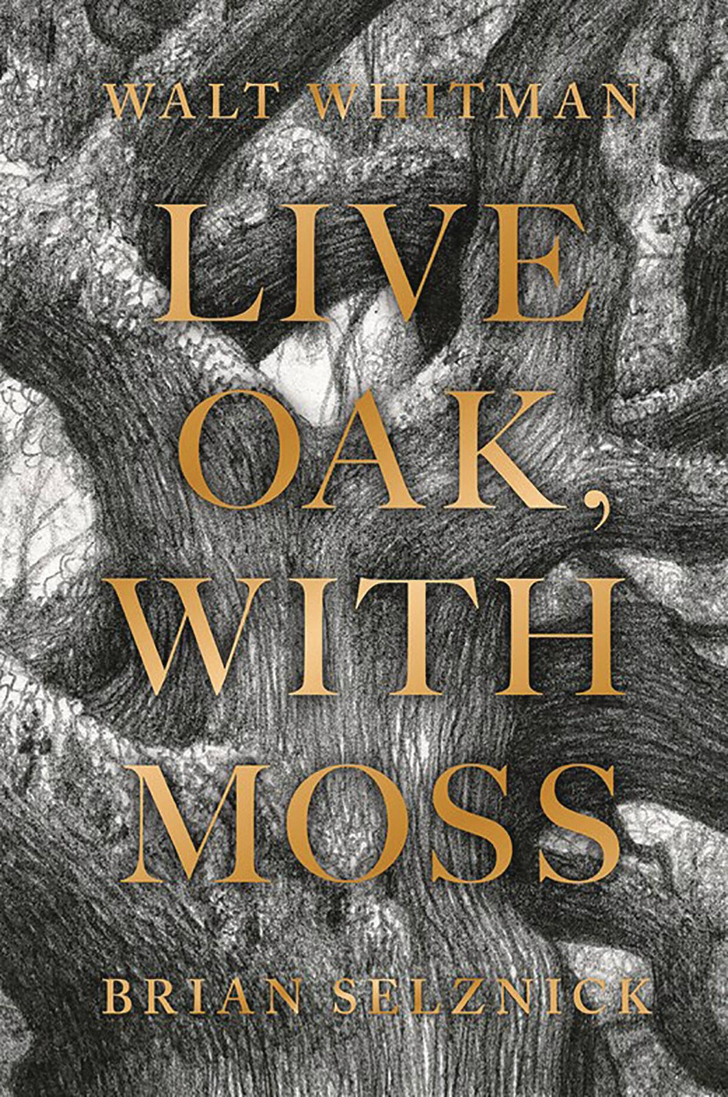 LIVE OAK WITH MOSS - Books