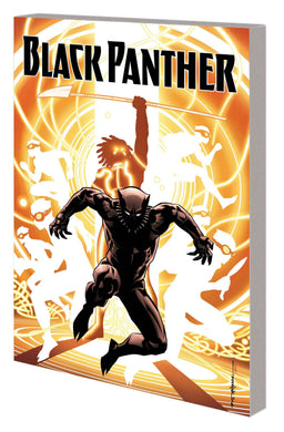 BLACK PANTHER TP BOOK 02 NATION UNDER OUR FEET - Books