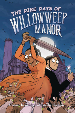 DIRE DAYS OF WILLOWWEEP MANOR GN - Books